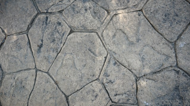 Stamped and Decorative Concrete Options for Eugene OR Residential Properties